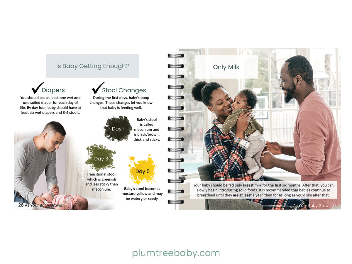 Breastfeeding Pocket Guide - BIG FRENCHIES