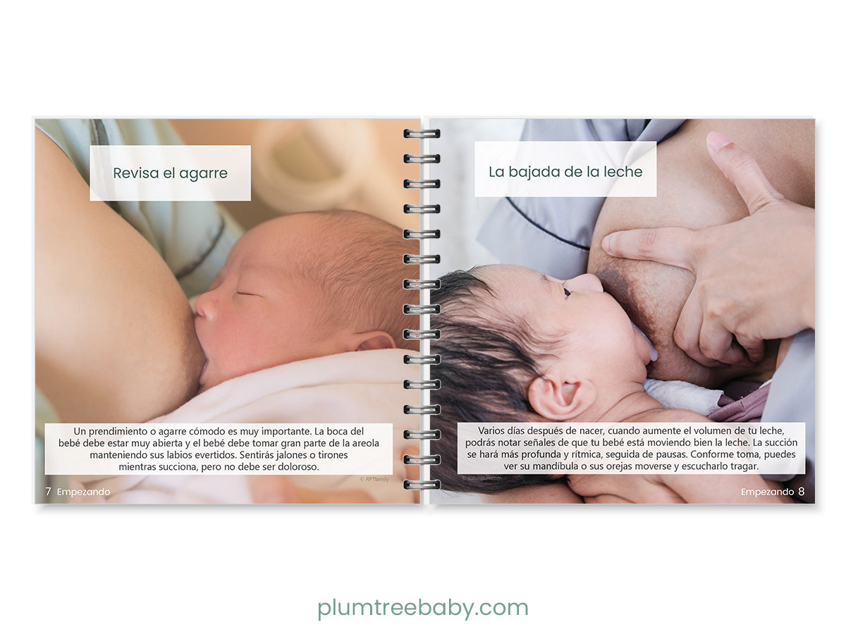 Breastfeeding Pocket Guide - BIG FRENCHIES