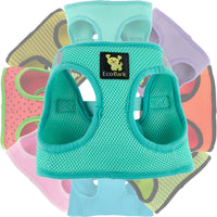 EcoBark Mint Turquoise Step In Dog Harness - Rapid Fastener Reflective Soft Mesh Vest Halter for Puppies and Small Dogs - BIG FRENCHIES