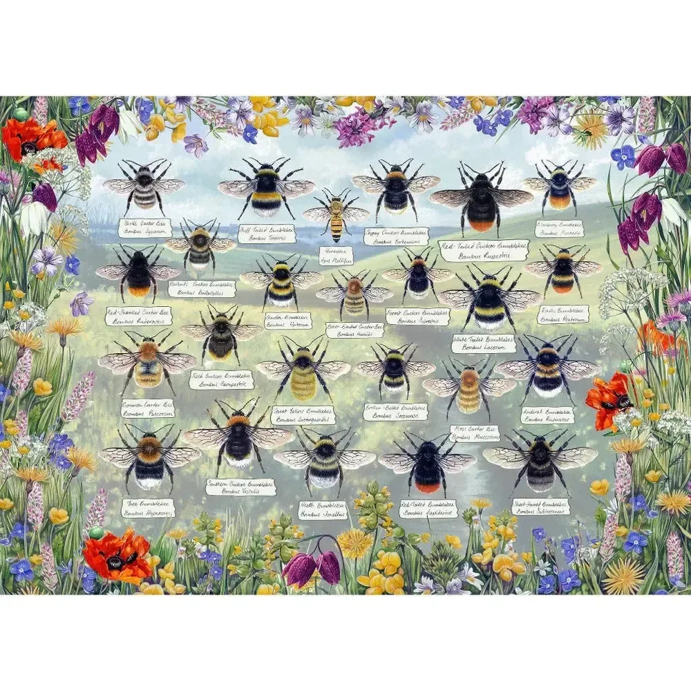 Brilliant Bees 1000 Piece Jigsaw Puzzle Gibsons - BIG FRENCHIES