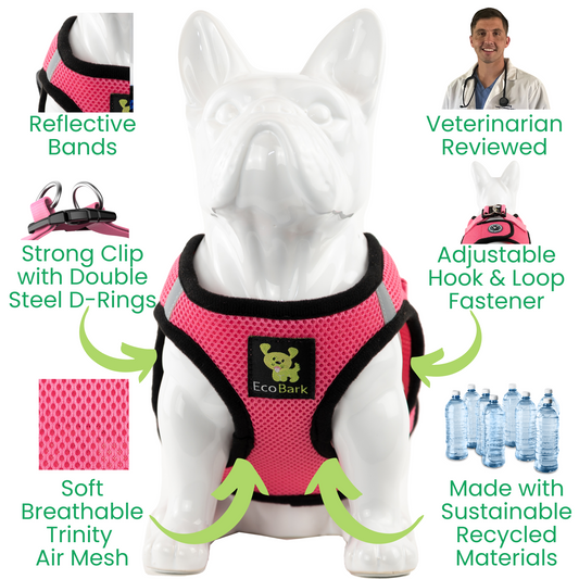 EcoBark Bubblegum Pink Step In Dog Harness - Reflective Soft Mesh Harness for Teacup, Small Dogs and Puppies - BIG FRENCHIES