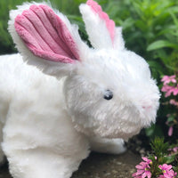 Squooshie™ Bunny Plush Dog Toy - BIG FRENCHIES