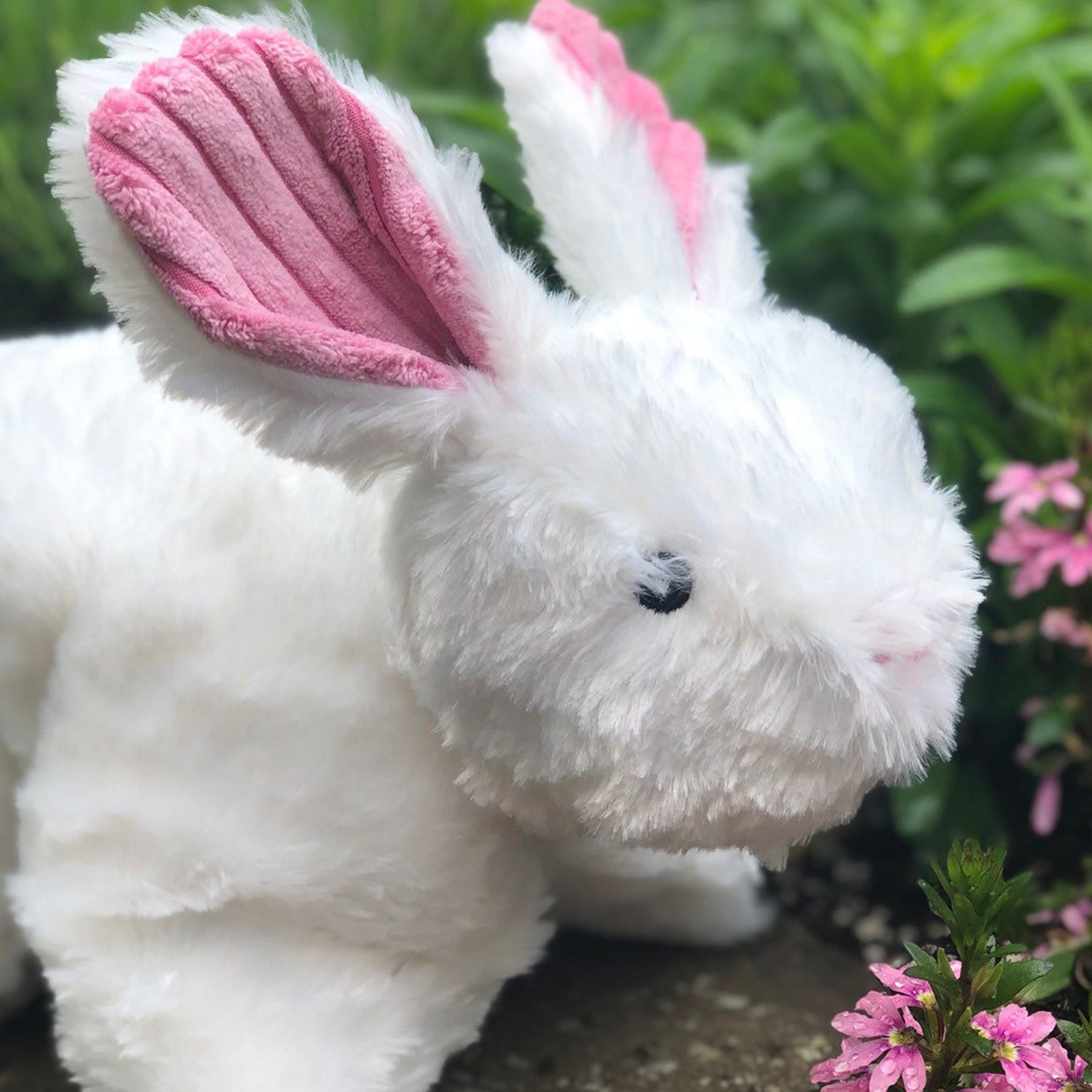 Squooshie™ Bunny Plush Dog Toy - BIG FRENCHIES