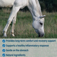 Bute-Less Comfort & Recovery Joint Supplement with B-12 for Horses