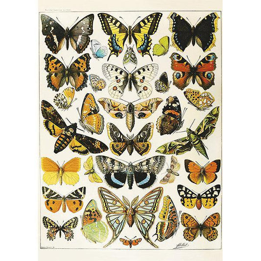 Butterflies & Moths by Millot 1000 Piece Jigsaw Puzzle Piatnik - BIG FRENCHIES