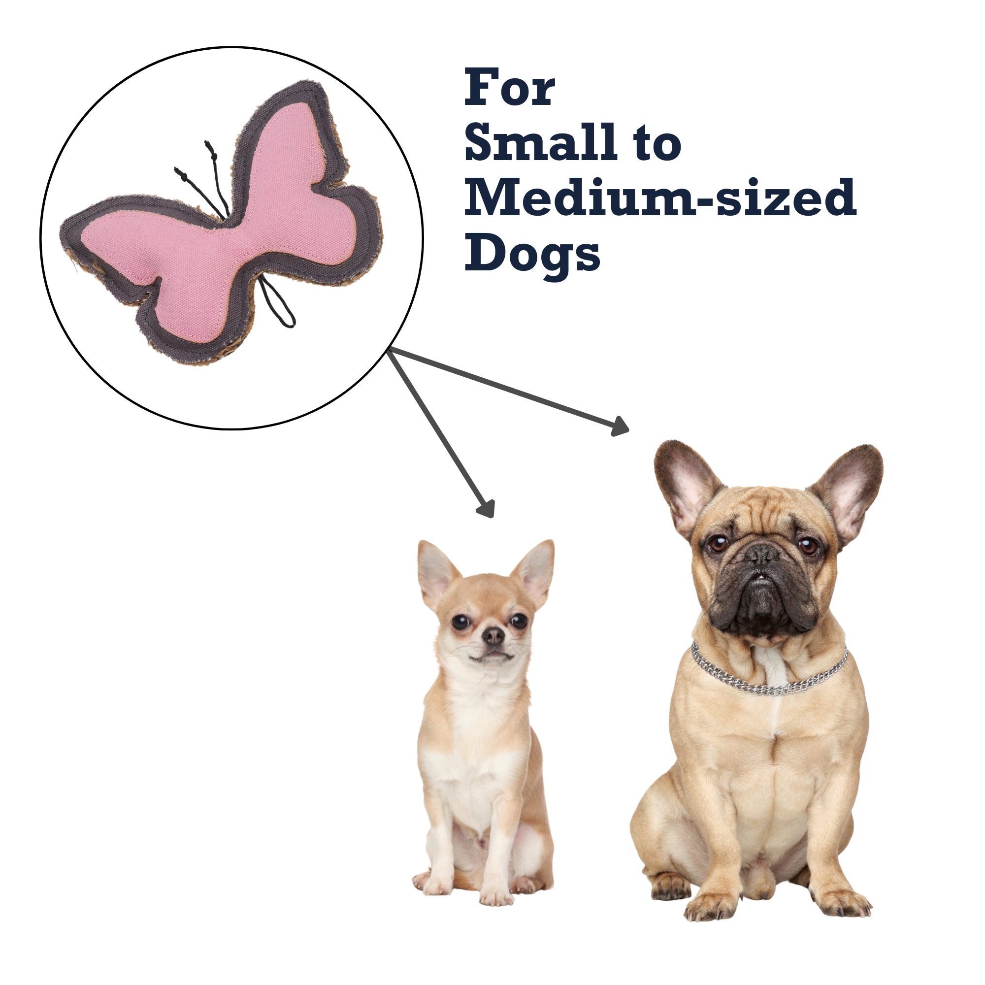 Country Living Canvas & Jute Butterfly-Shaped Dog Chew Toy – Durable, Safe and Non-Toxic - BIG FRENCHIES