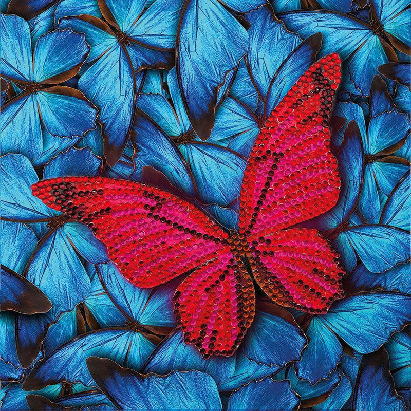 Butterfly Crystal Art Card Kit Craft Buddy - BIG FRENCHIES