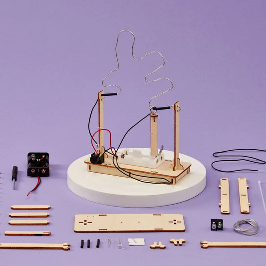 Buzz Wire Game DIY Kit, Educational STEM Toy - BIG FRENCHIES