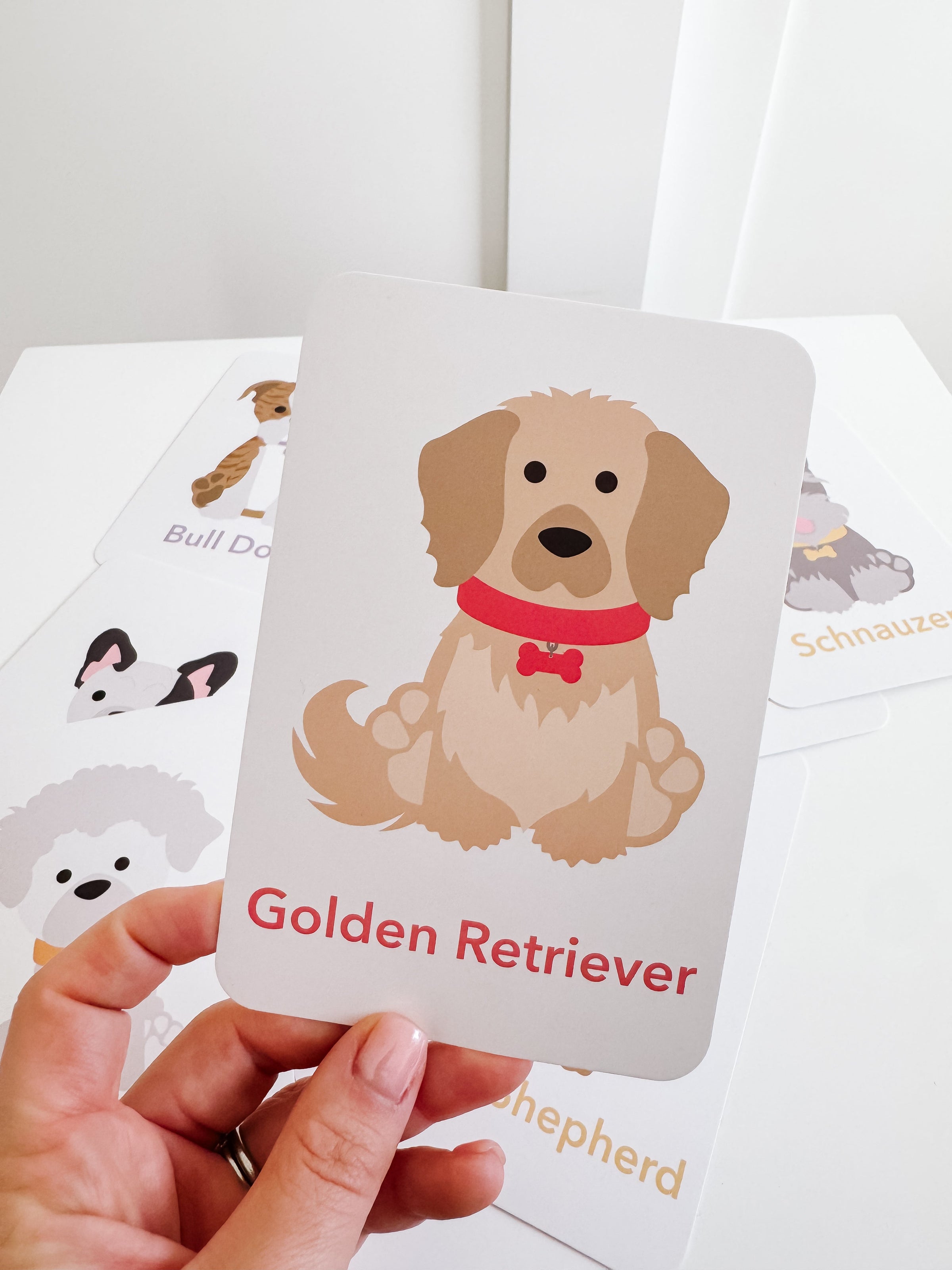 Dog Breed Flash Cards