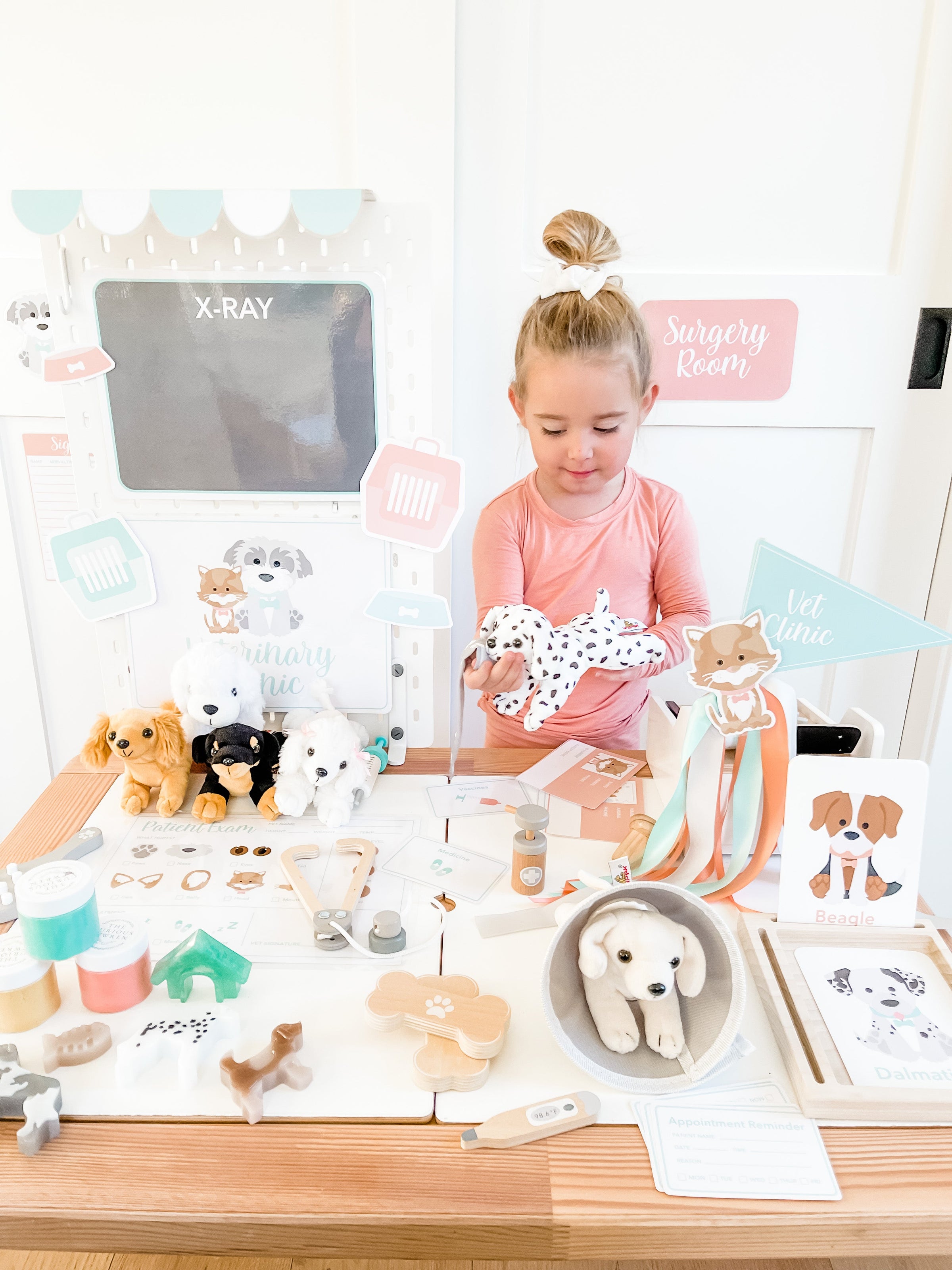 Vet Clinic Dramatic Play