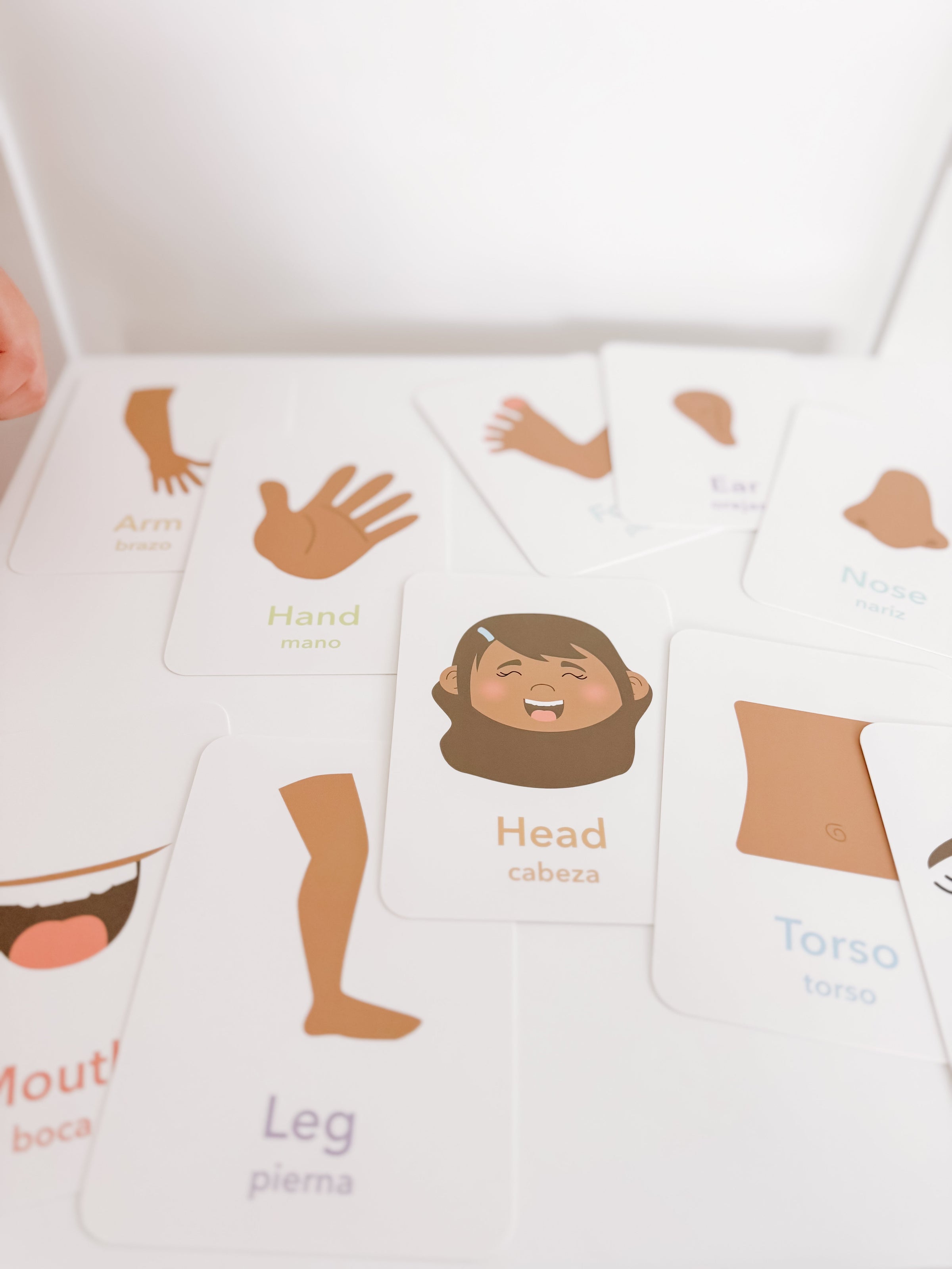 Body Parts Flashcards