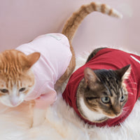 “Spoiled” Mock Neck Shirt - Lucky in Love