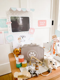 Vet Clinic Dramatic Play