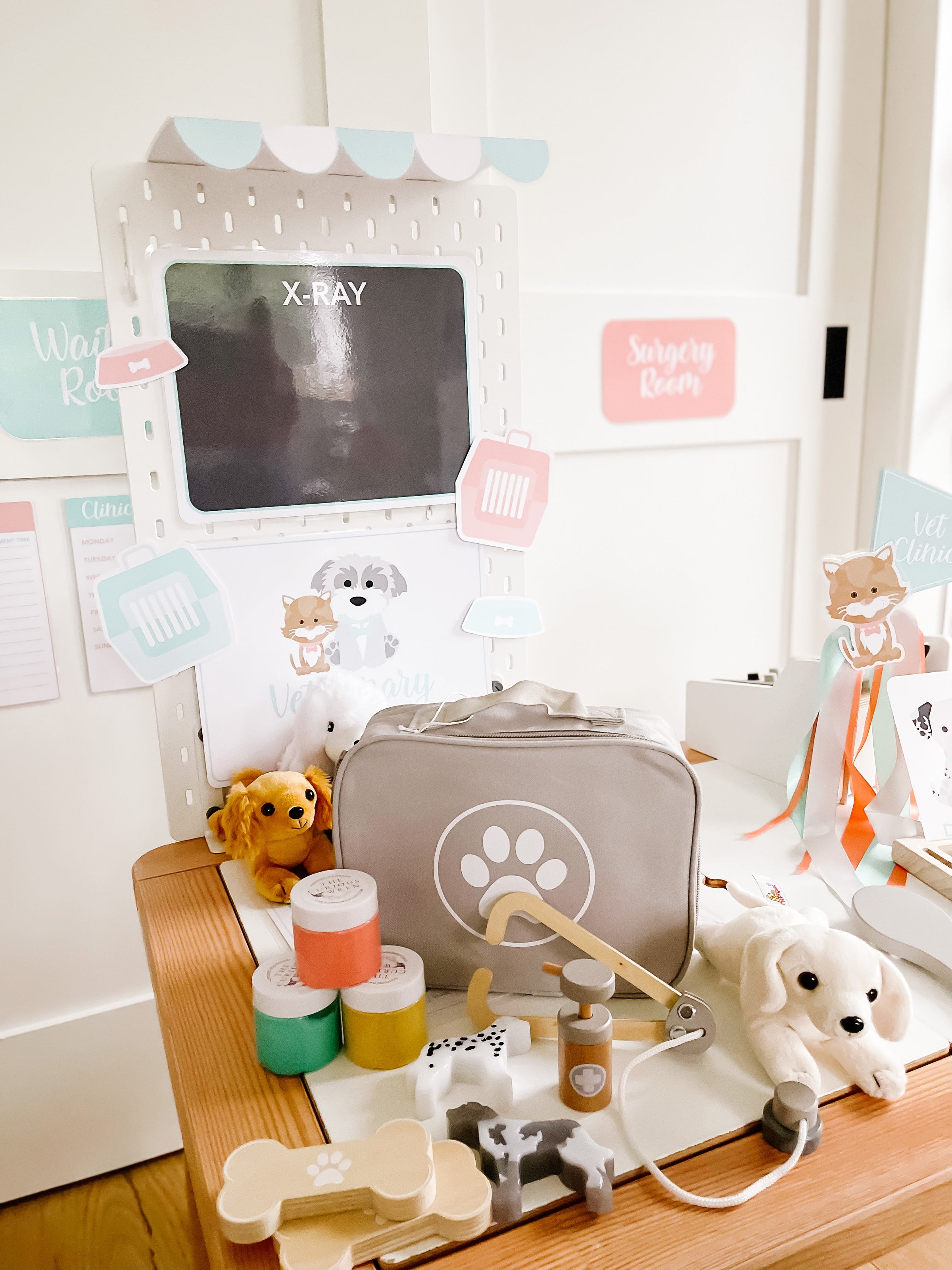 Vet Clinic Dramatic Play