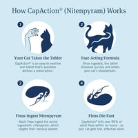 CAPACTION Oral Flea Tablets for Cats 2–25 lbs – 6 Doses, Fast-Acting Relief