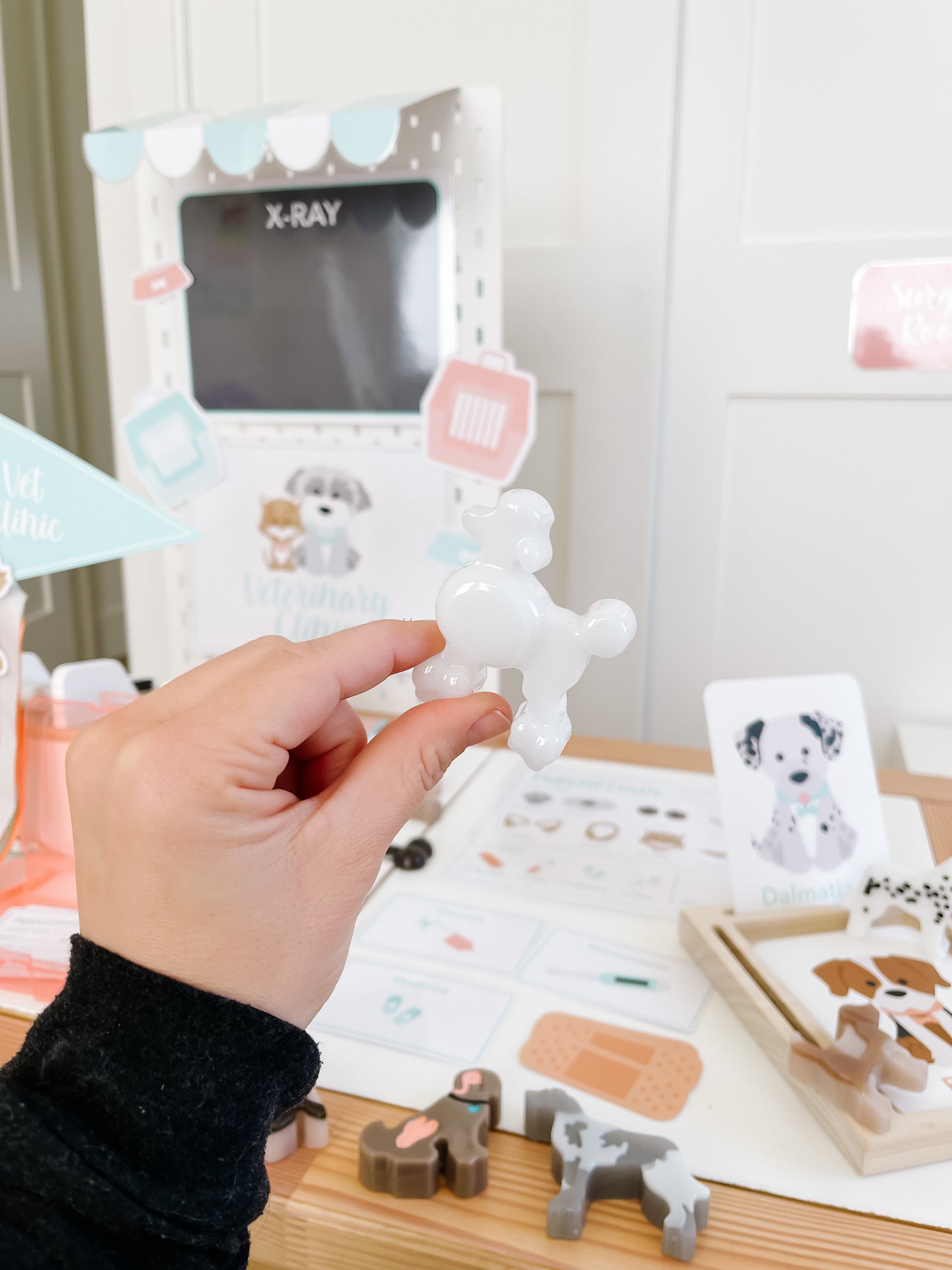 Vet Clinic Dramatic Play