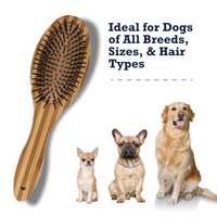 Country Living Dual-Sided Natural Wood Dog Brush - Ergonomic, Durable & Versatile - BIG FRENCHIES