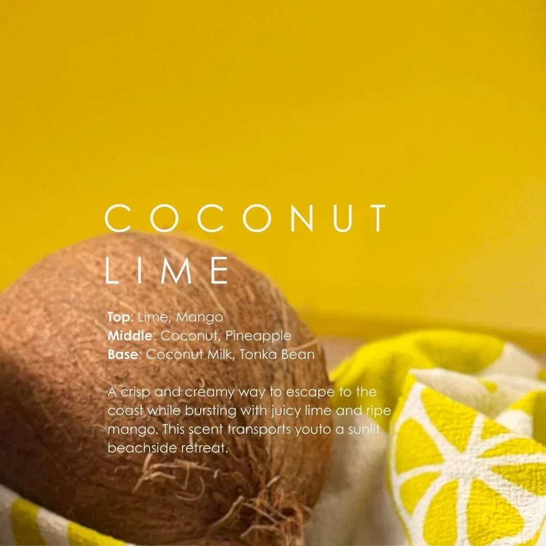 Coconut Lime Reed Diffuser - BIG FRENCHIES