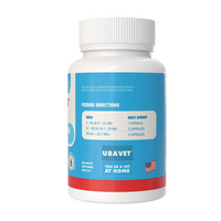 UBAVET Memory & Brain Support for Senior Dogs – 90 ct Cognitive Health Supplement - BIG FRENCHIES