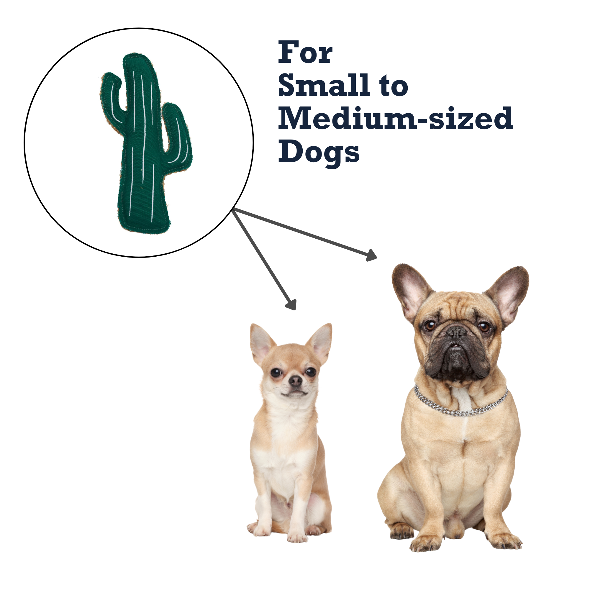 Country Living Canvas & Jute Cactus-Shaped Dog Chew Toy – Durable, Safe and Non-Toxic - BIG FRENCHIES