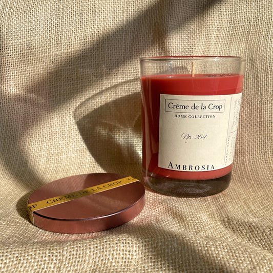 Soy Candle - Ambrosia - BIG FRENCHIES