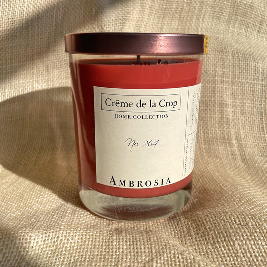 Soy Candle - Ambrosia - BIG FRENCHIES