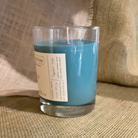 Soy Candle - Birch Run (Evergreen) - BIG FRENCHIES