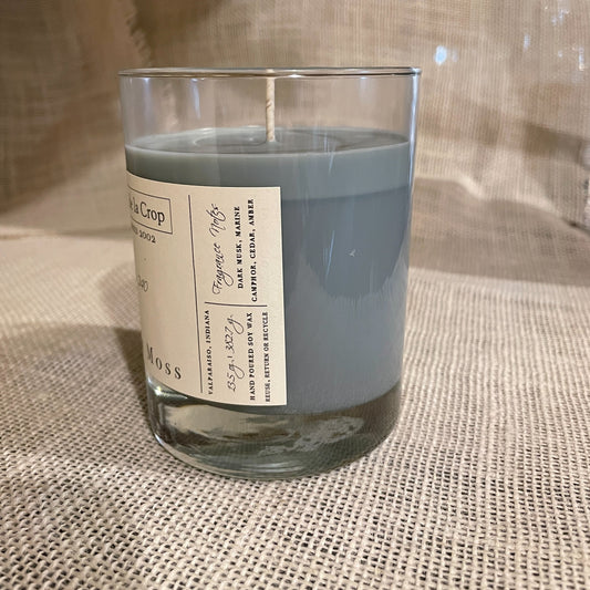 Soy Candle - Black Moss - BIG FRENCHIES