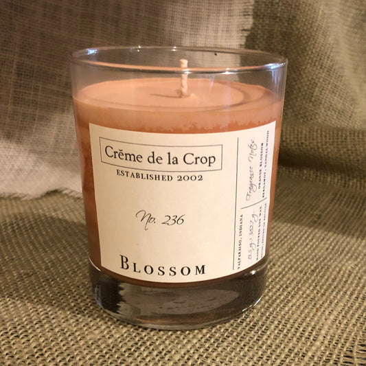 Soy Candle - Blossom (Orange Blossom) - BIG FRENCHIES