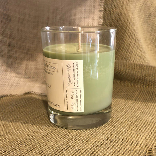 Soy Candle - Jade Mountain (Aloe & Agave) - BIG FRENCHIES