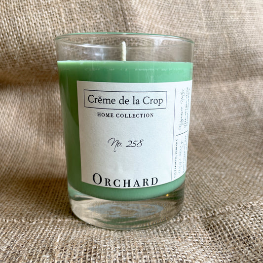 Soy Candle - Orchard (Crisp Apple) - BIG FRENCHIES