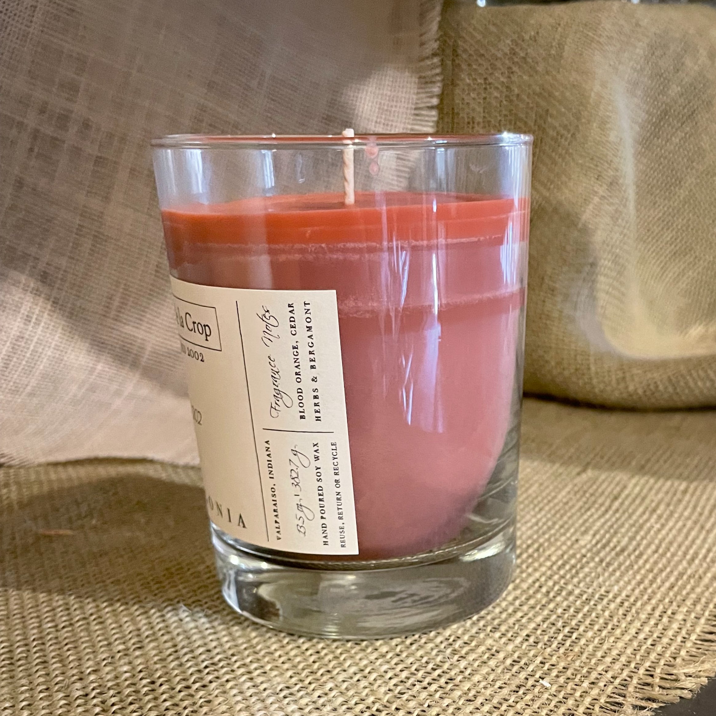 Soy Candle - Palagonia (Blood Orange) - BIG FRENCHIES