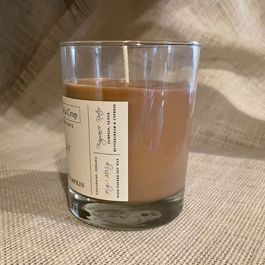 Soy Candle - Toasted Pumpkin - BIG FRENCHIES