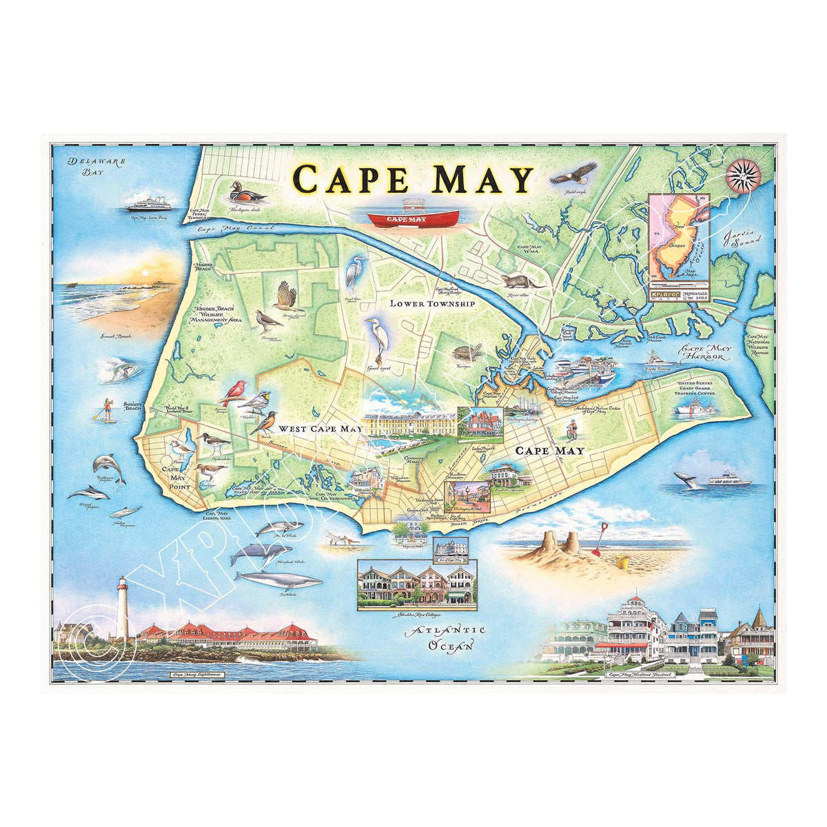 Cape May 1000 Piece Jigsaw Puzzle Xplorer Maps - BIG FRENCHIES