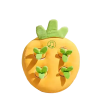 MEACAOFG Carrot Pulling Baby Toys - Interactive Motor Skills Development Toy