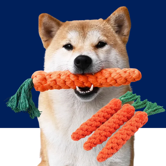 Carrot Rope Dog Chew Toy – Durable Cotton Molar Toy for Puppies & Dogs - BIG FRENCHIES