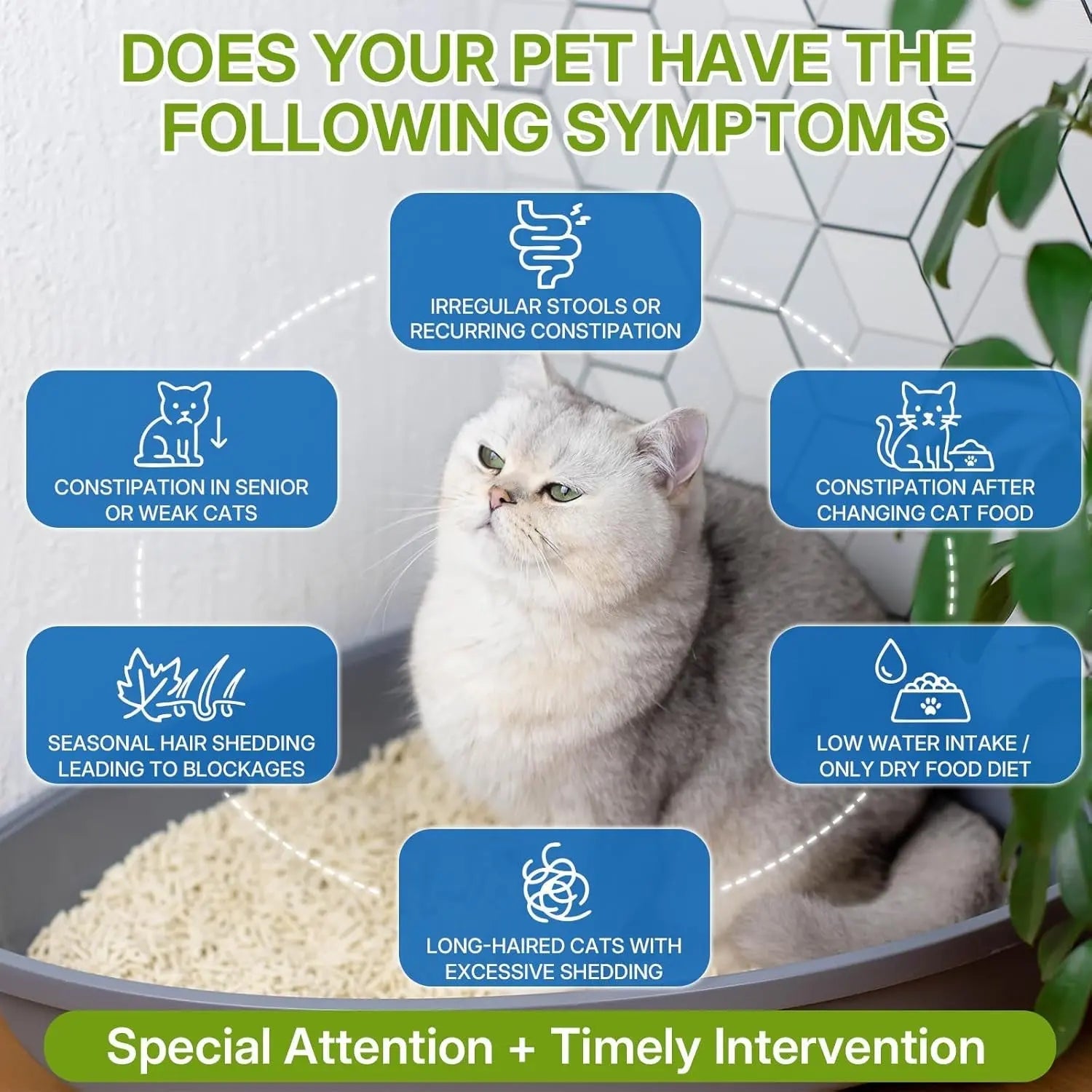 Cat Constipation Relief – Natural Digestive Support Liquid, 60 mL
