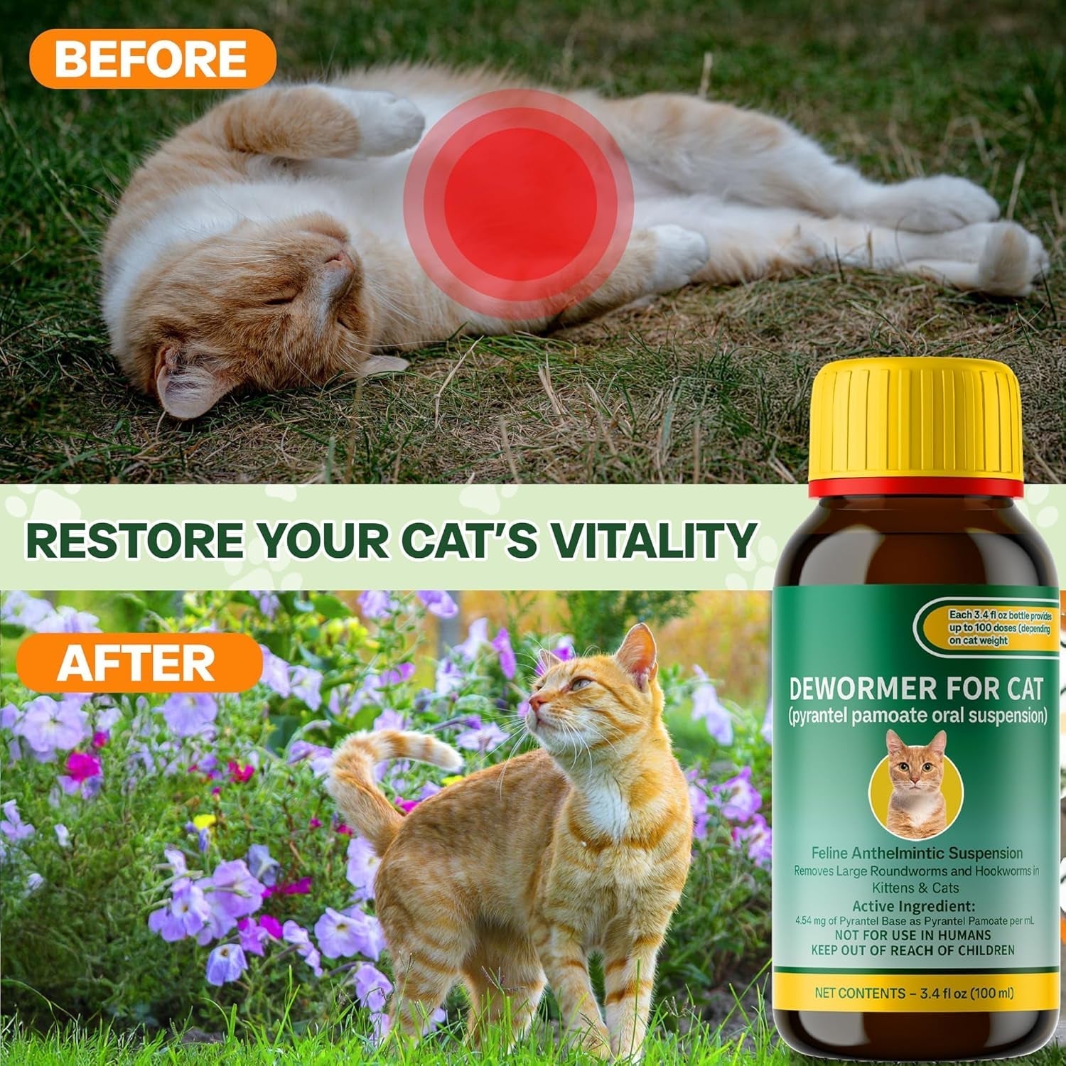 Cat Dewormer Liquid Pyrantel Pamoate Roundworm Hookworm 100ml