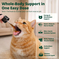 Cat Liquid Multivitamin Taurine Lysine Skin Coat Immune Support 2oz