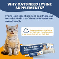 Cat Lysine Paste Immune Respiratory Eye Support Taurine Omega 3 Chicken 60ml