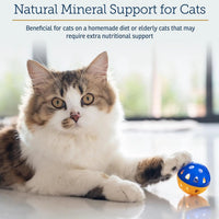 Cat Mineral Supplement Taurine Calcium Immune Joint Support Powder 8oz