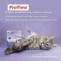 Cat Probiotics Digestive Gut Health Immune Support Powder 30 Packets