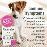 Cat UTI Relief Drops Natural Urinary Tract Support Supplement 15ml