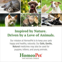 Cat UTI Relief Drops Natural Urinary Tract Support Supplement 15ml