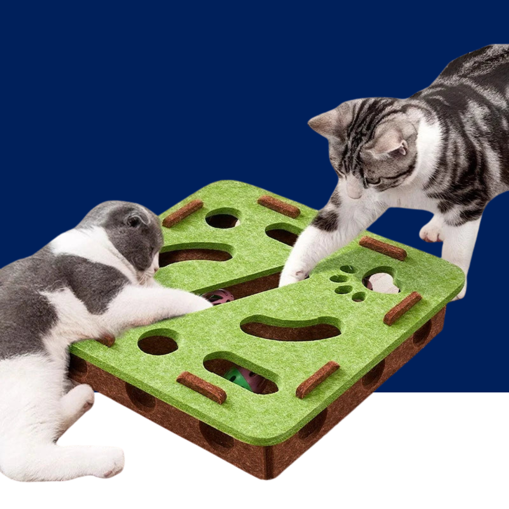 Cat Fun Box – Interactive Puzzle Toy for Indoor Cats, Scratching & Digging Activity Box with Bell Balls - BIG FRENCHIES