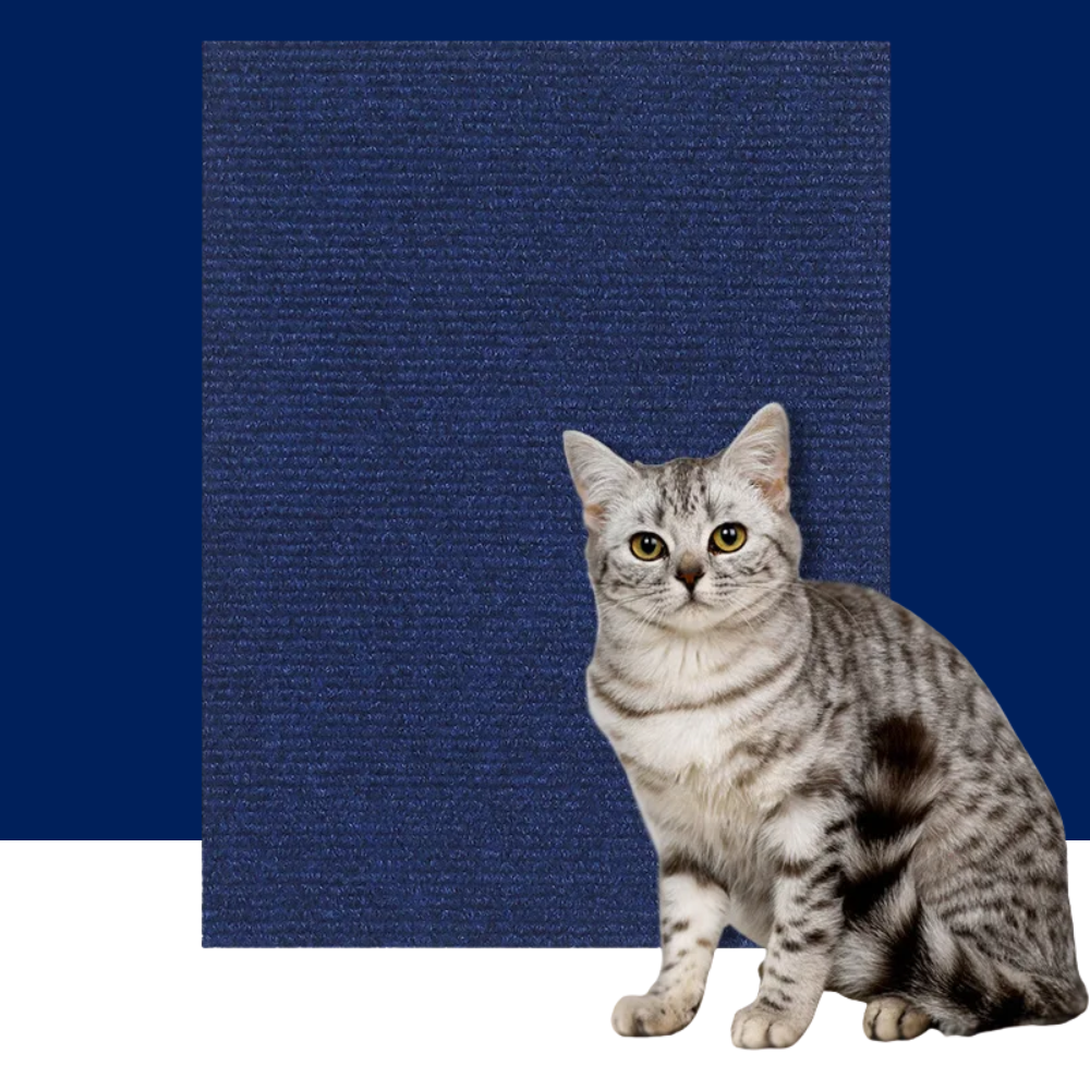 Cat Scratcher Sofa Protector – 7-Color DIY Self-Adhesive Mat Pad - BIG FRENCHIES