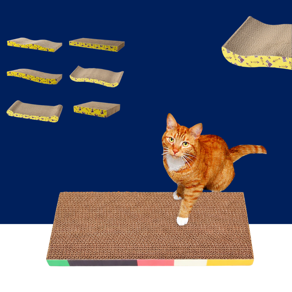 Cat Scratching Board Bed – Cardboard Scratch Pad & Nest for Cats - BIG FRENCHIES
