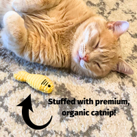 HuggleKats® Wee Fellar Squirrelie Cat Toy - BIG FRENCHIES