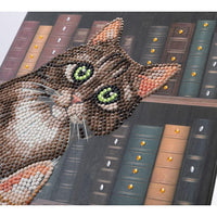 Cats in the Library Crystal Art Notebook Kit Craft Buddy - BIG FRENCHIES