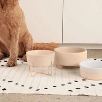 Ceramic Cat & Dog Pet Bowl, Elevated Stoneware Feeder, Dishwasher Safe - BIG FRENCHIES